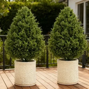 Artificial Cedar Topiary Trees 2 Pack