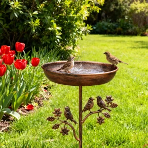 Birdbath Outdoor Sturdy Iron